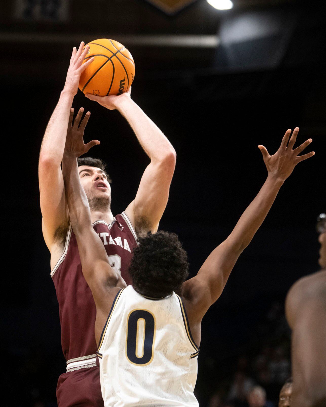 Brawl of the Wild basketball 24.JPG